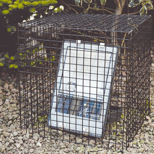 Ansell Floodlight Wire Cage 500x500x500mm at UK Electrical Supplies